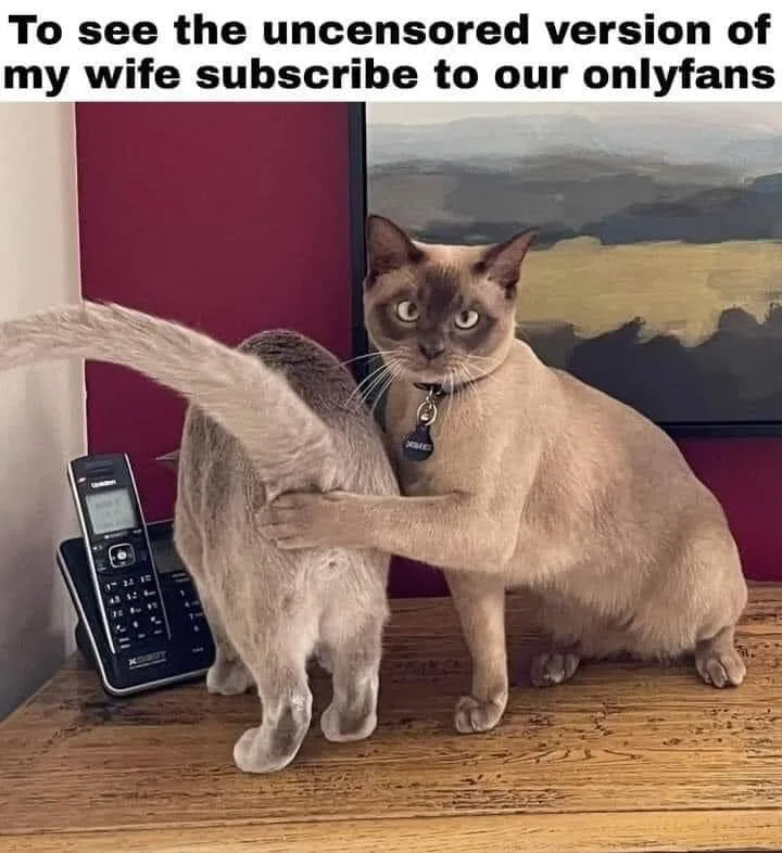 Onlyfans meme