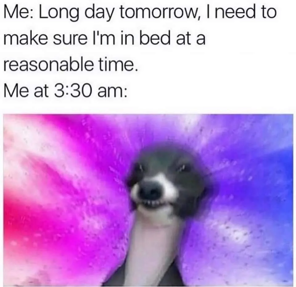 staying up late meme