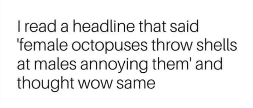 octopus meme