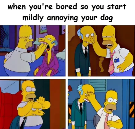 teasing meme