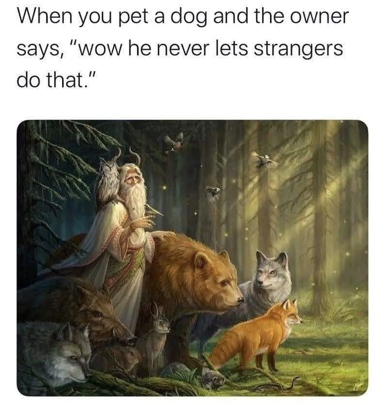 petting meme