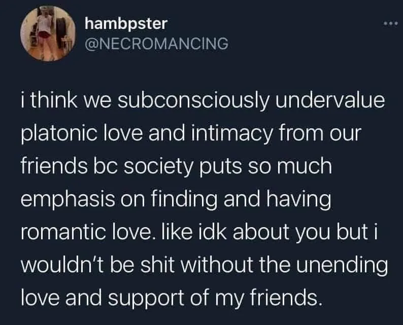 platonic love meme