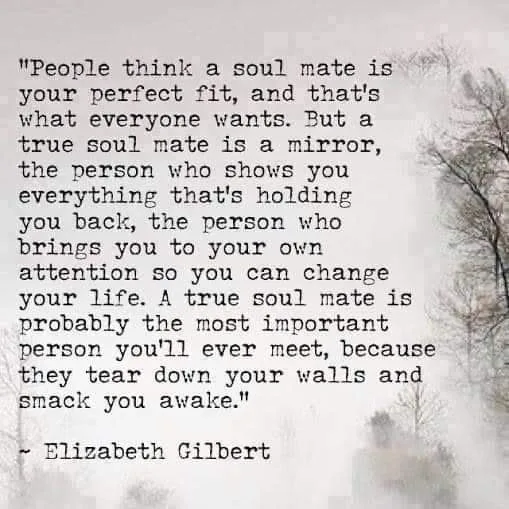 soulmate meme