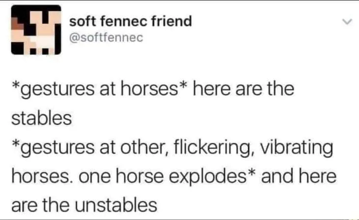 horse meme