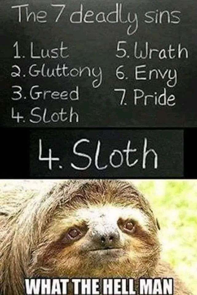 sloth meme
