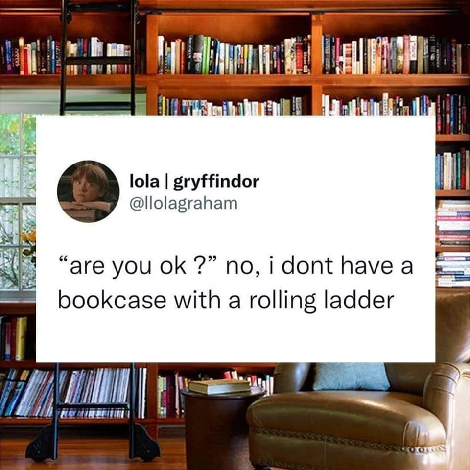 bookcase meme