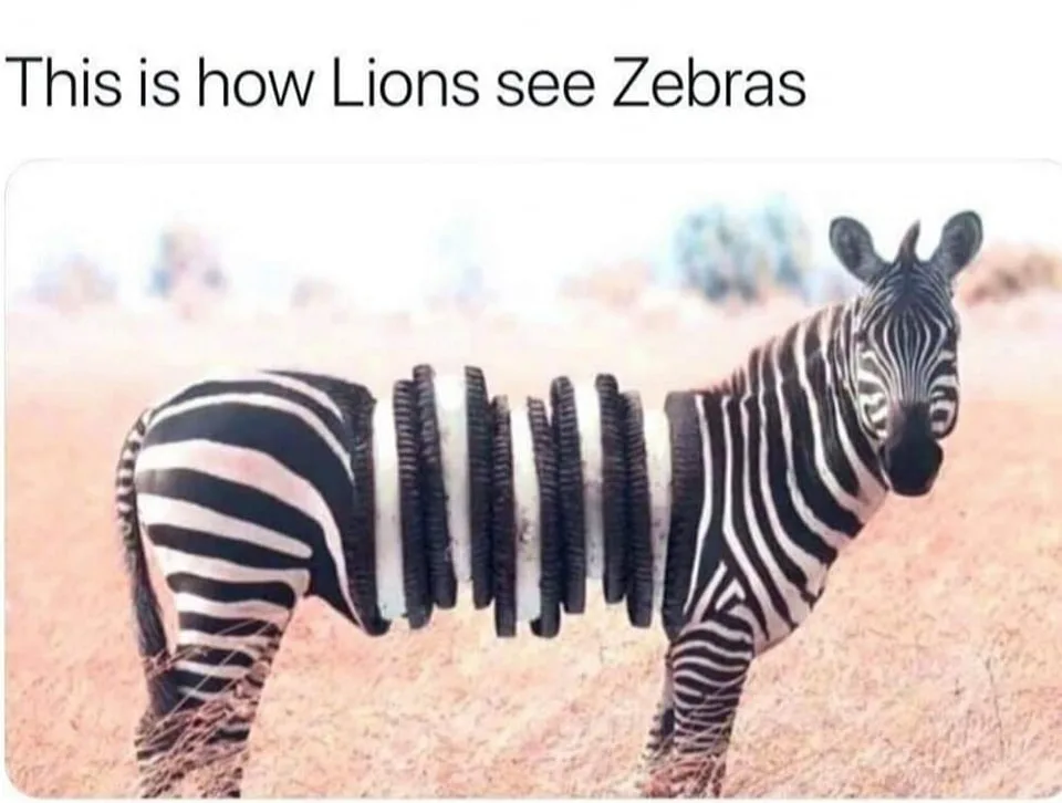 lion meme