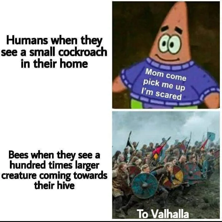 bee meme