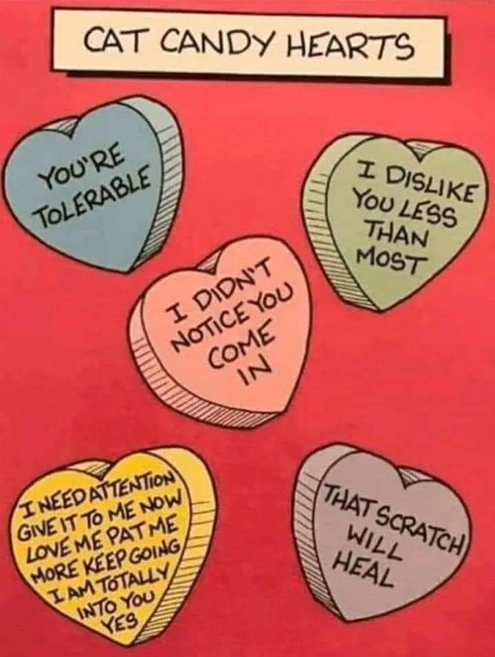 candy heart meme