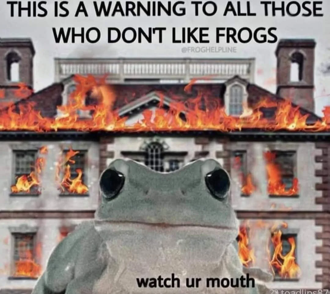 frog meme