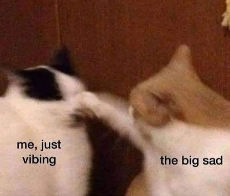 vibing meme