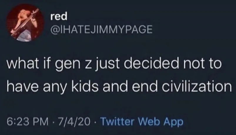 not having kids meme