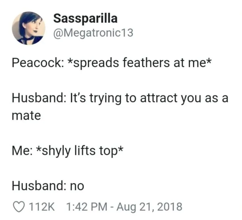 flirting meme