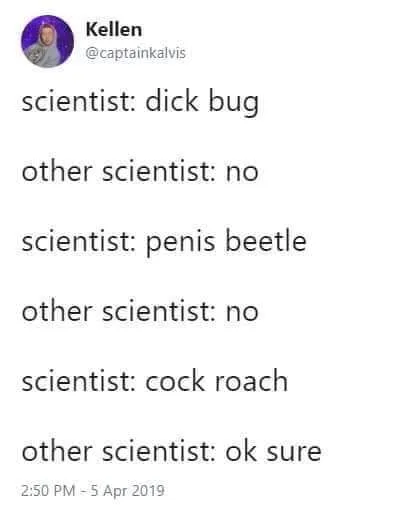 cockroach meme