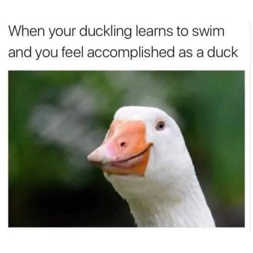 feeling of accomplishment meme