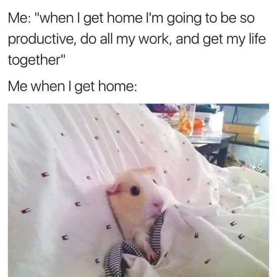 being unproductive meme
