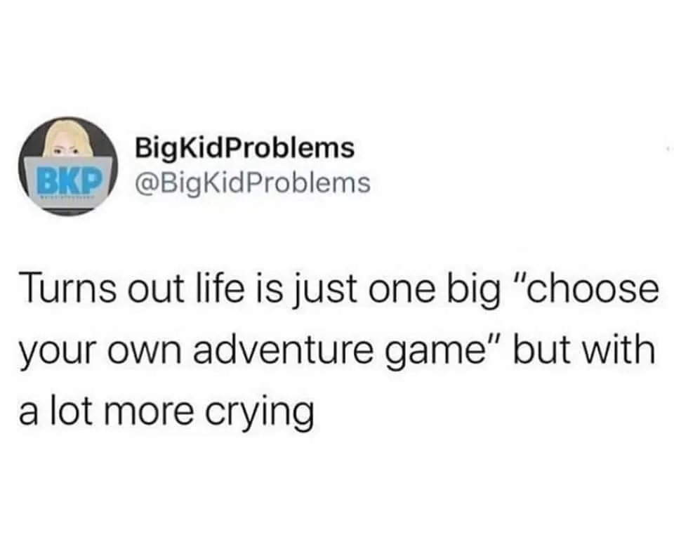 choose your own adventure meme