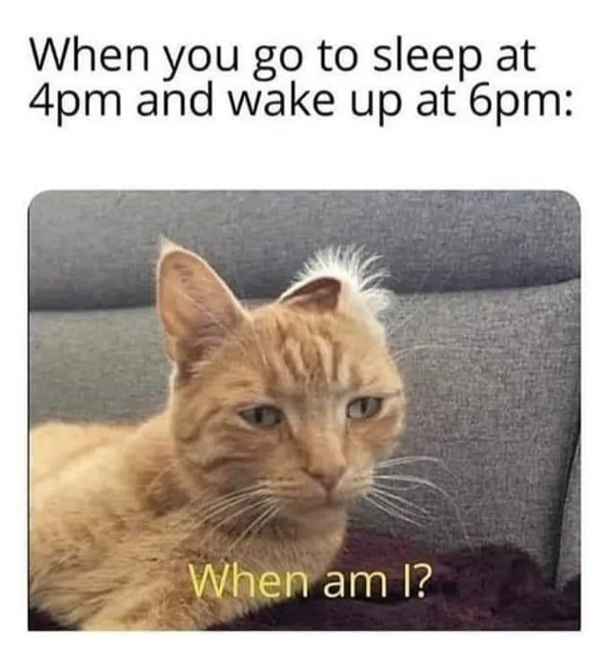 nap meme