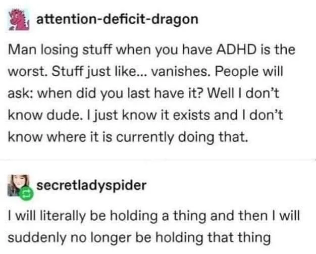losing things meme