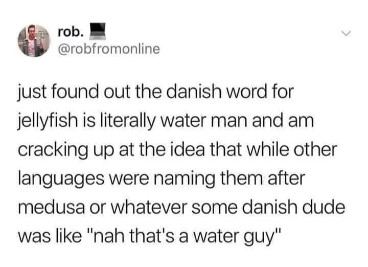 Danish (language) meme