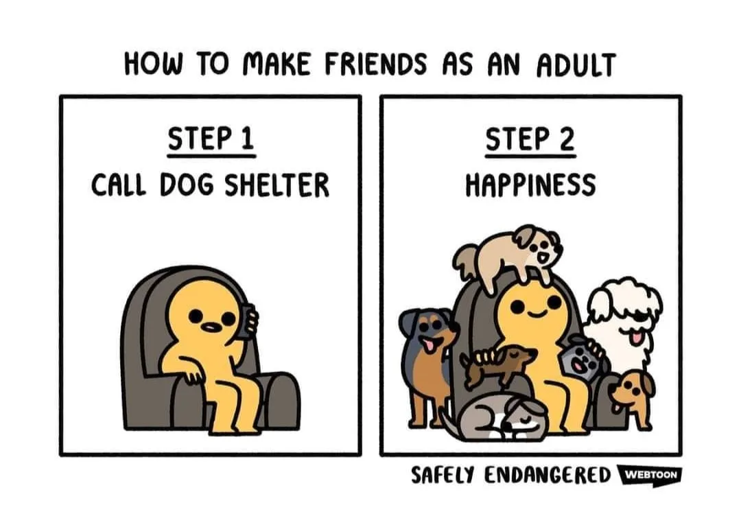 making friends meme