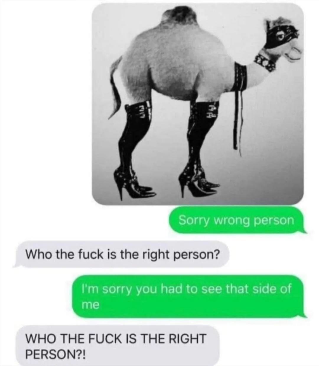 wrong number meme
