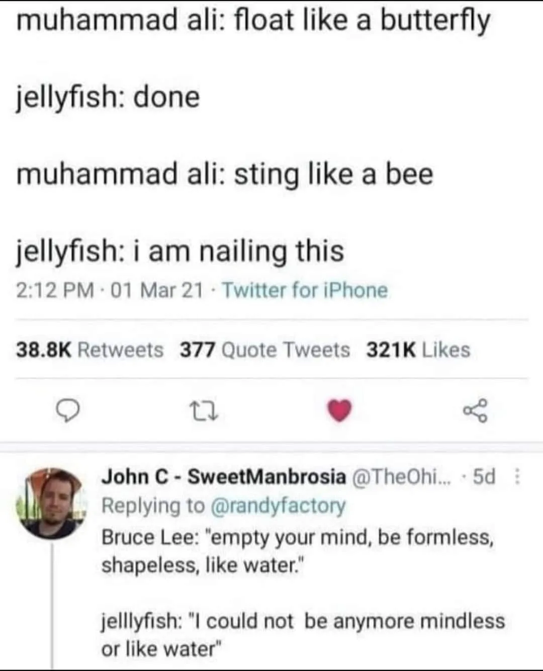 jellyfish meme