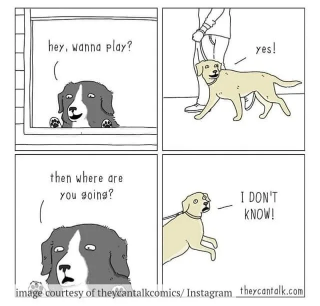 walking the dog meme