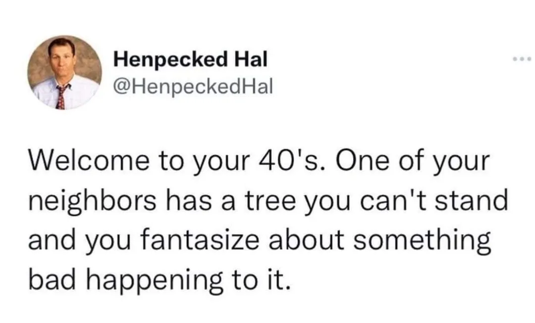 tree meme