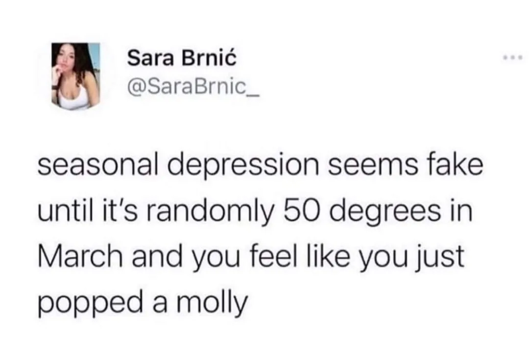 Seasonal Affective Disorder (SAD) meme
