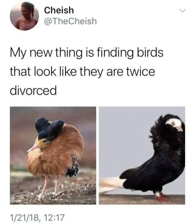 divorce meme