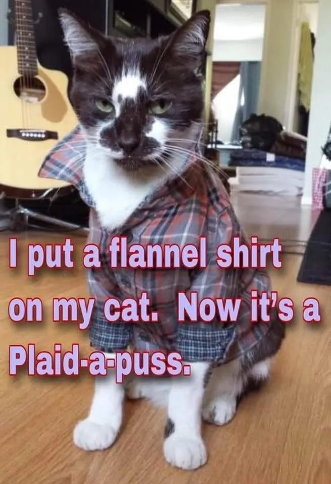 flannel meme