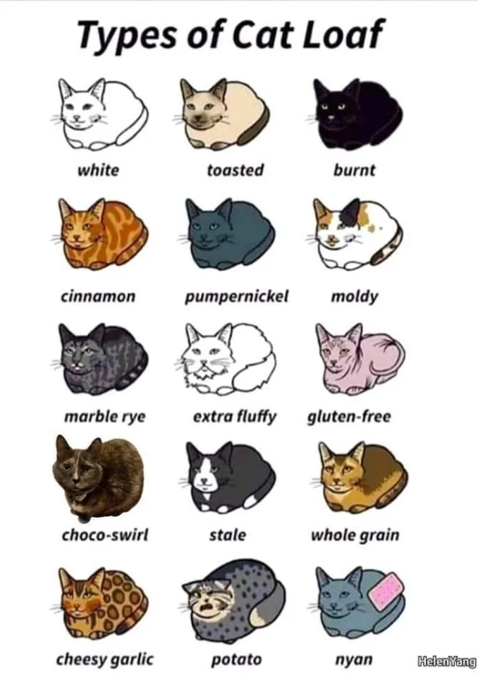 loaf meme