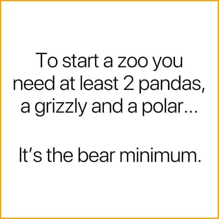 bear meme
