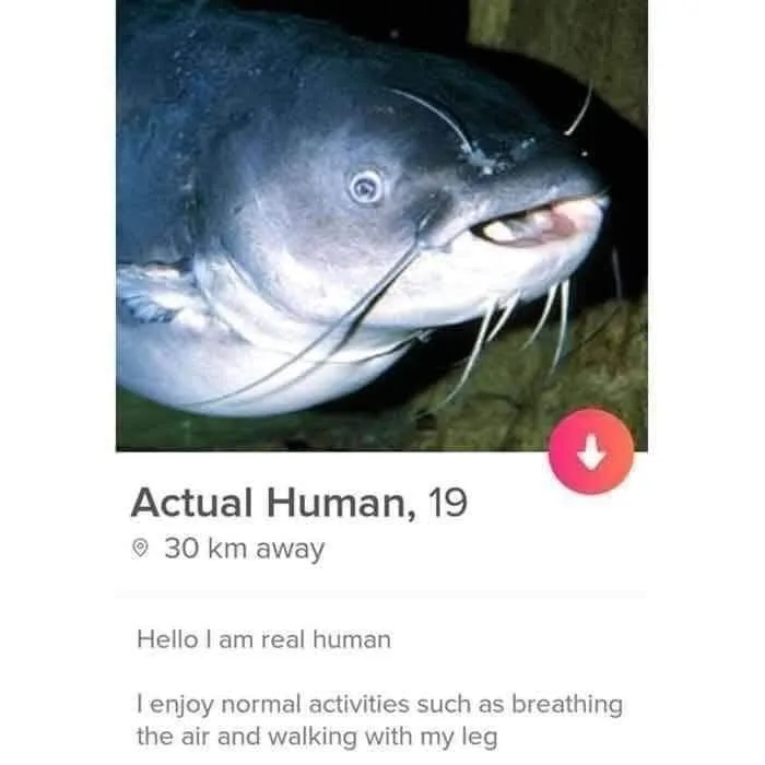 catfishing meme