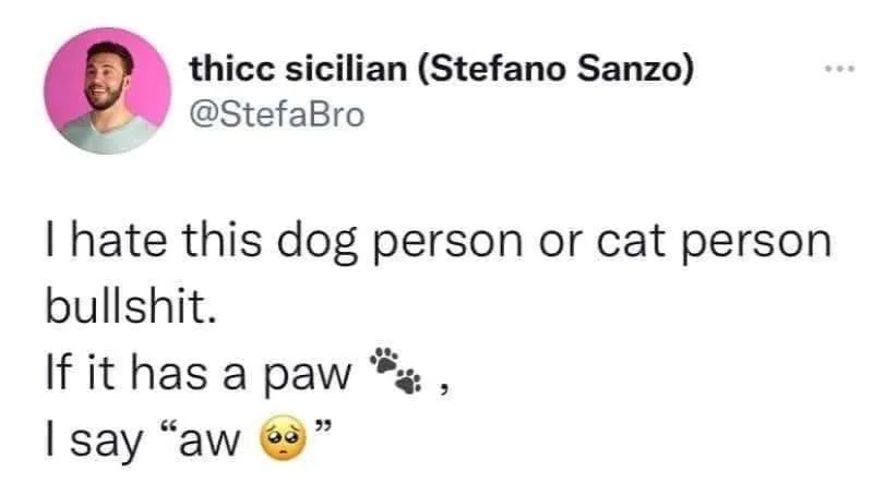 dog lover meme