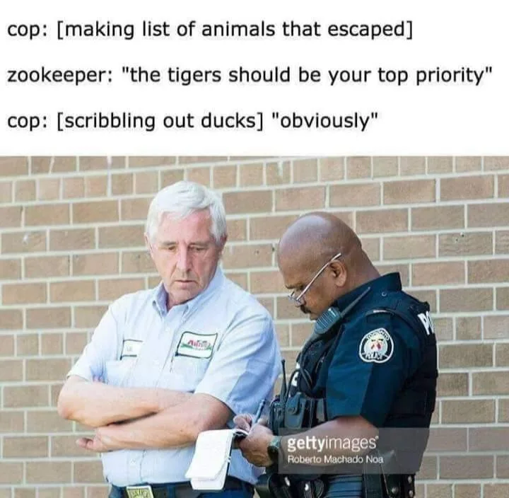 escape meme