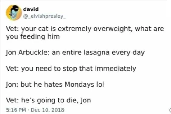 lasagna meme