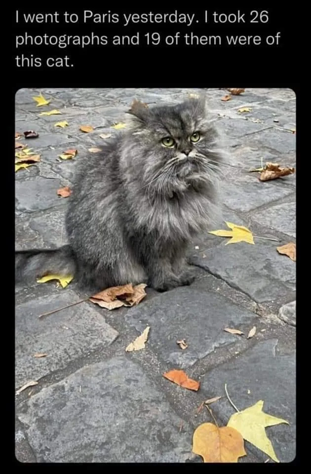 Paris meme
