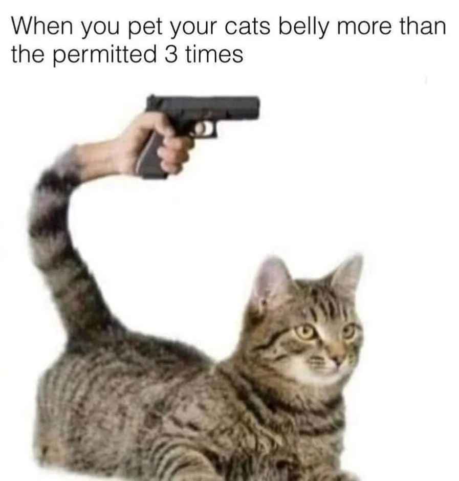 petting meme