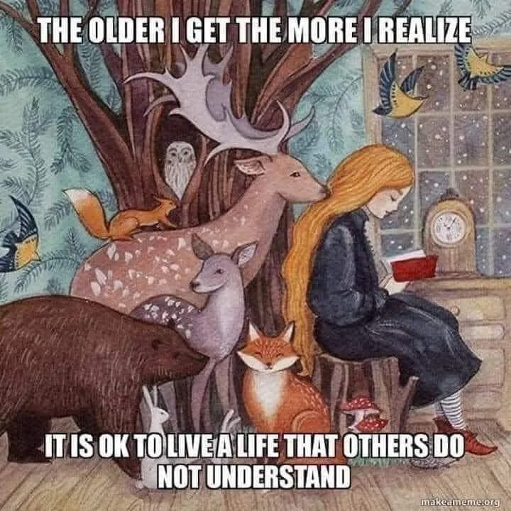 being understood meme