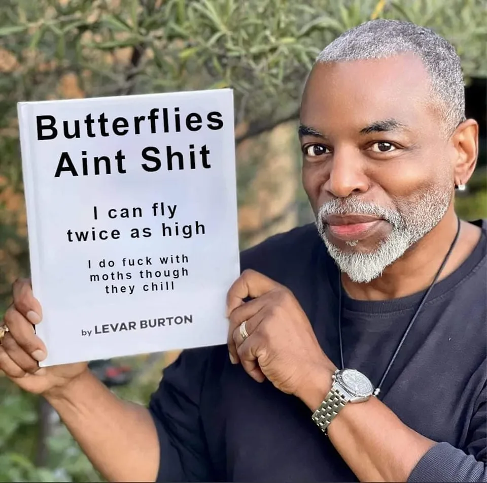 butterfly meme