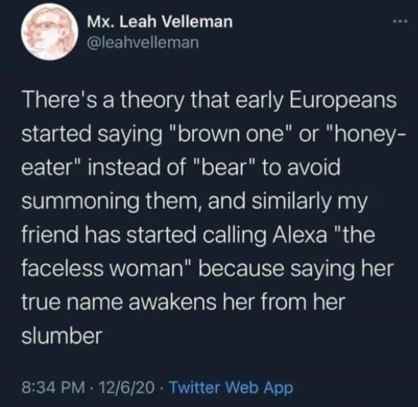 bear meme