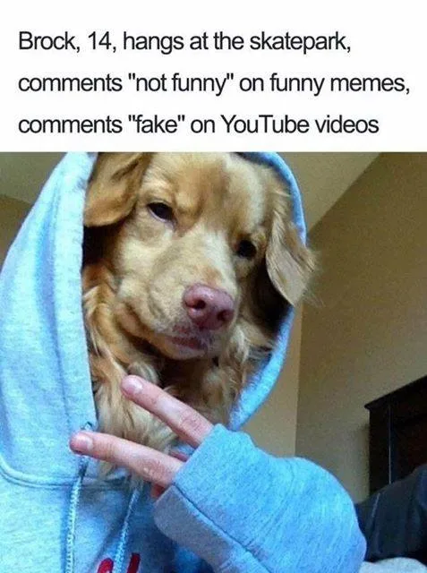 juvenile delinquent meme