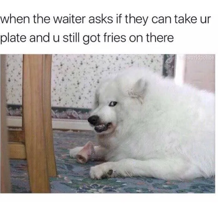 server | waiter/waitress meme