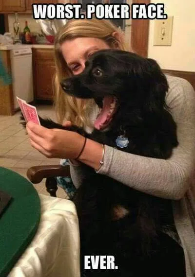 poker face meme