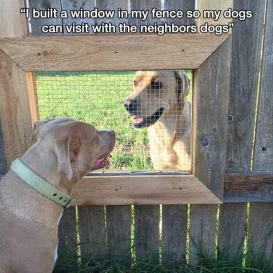 fence meme