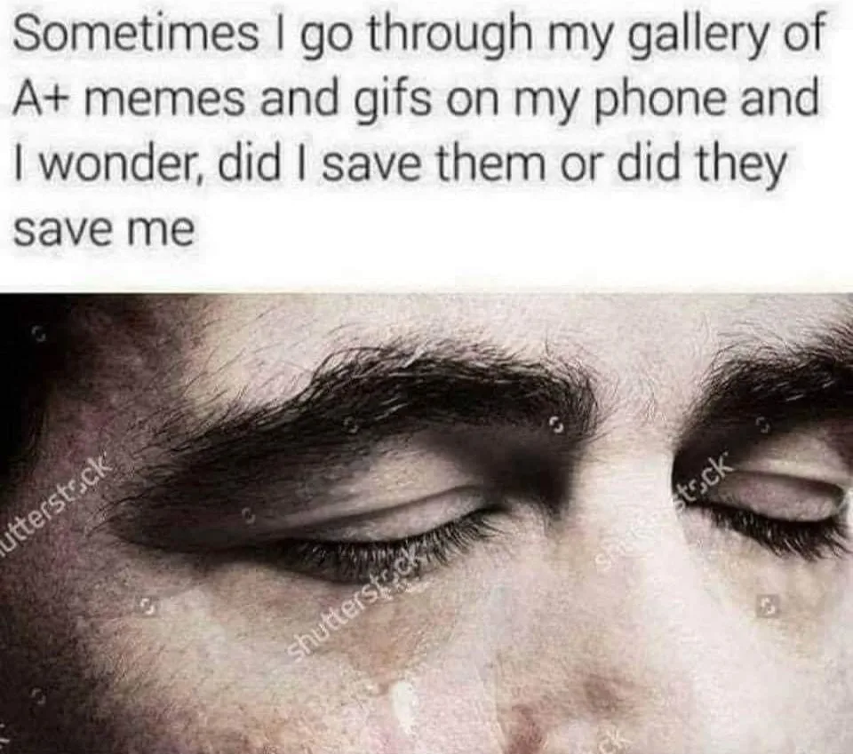 sharing memes meme