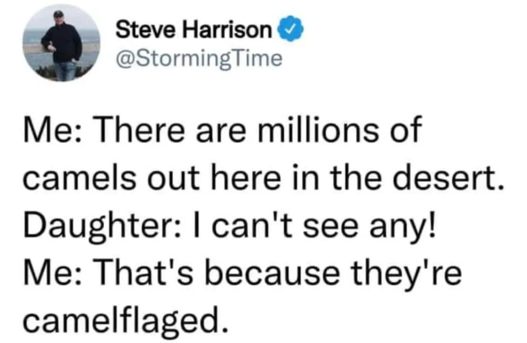 camel meme