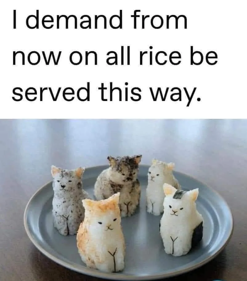 onigiri meme